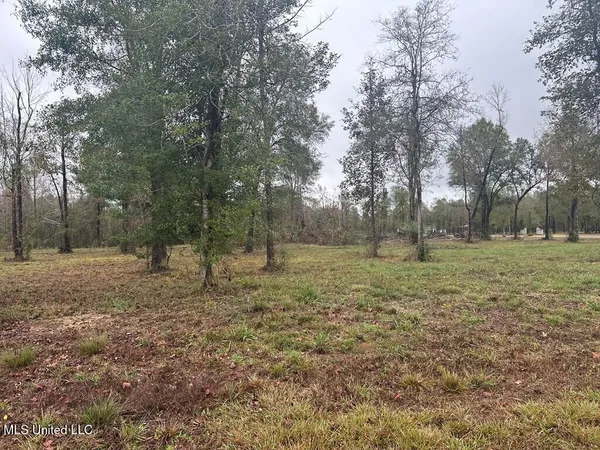 $135,000 | Bent Creek, Carriere, MS 39426
