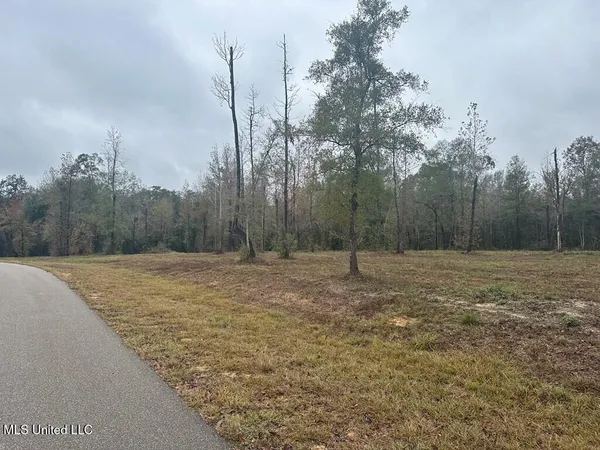 $135,000 | Bent Creek, Carriere, MS 39426