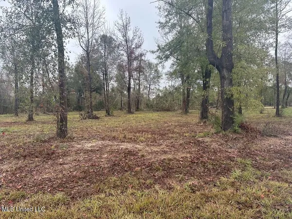 $135,000 | Bent Creek, Carriere, MS 39426