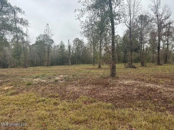 $135,000 | Bent Creek, Carriere, MS 39426