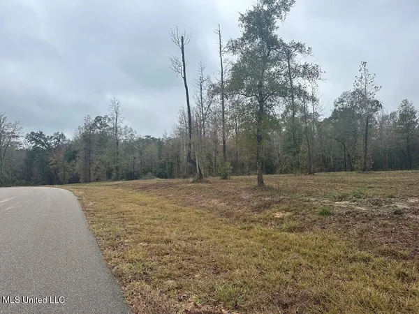 $135,000 | Bent Creek, Carriere, MS 39426