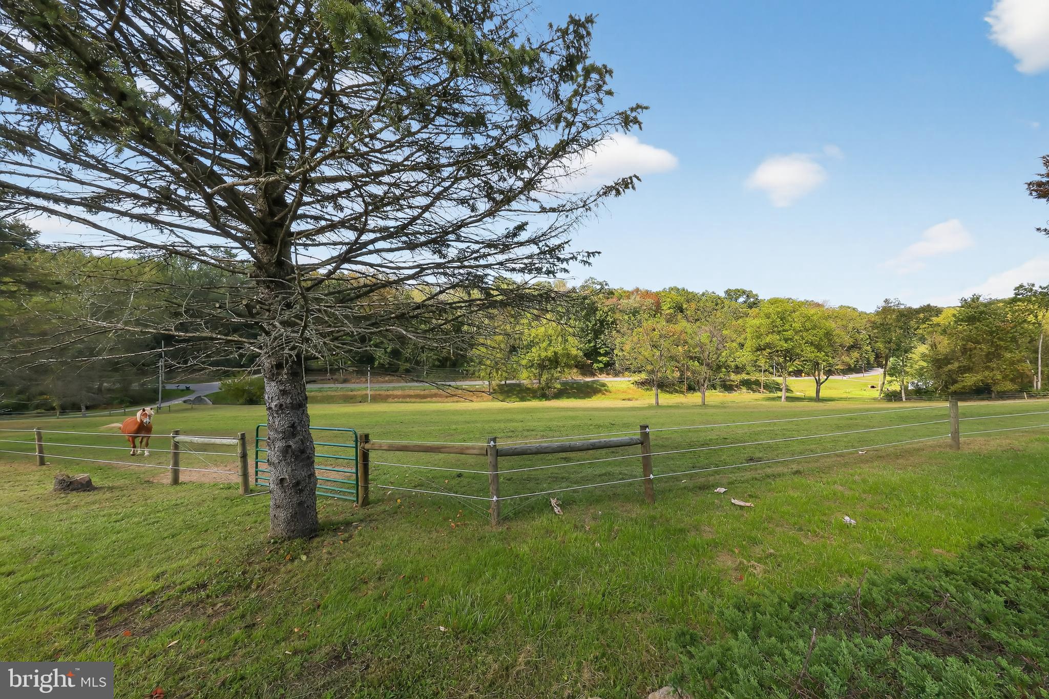 1201 Spruce Grove Road Oxford, PA 19363 - Photo 9 of 32 a view of outdoor space and yard