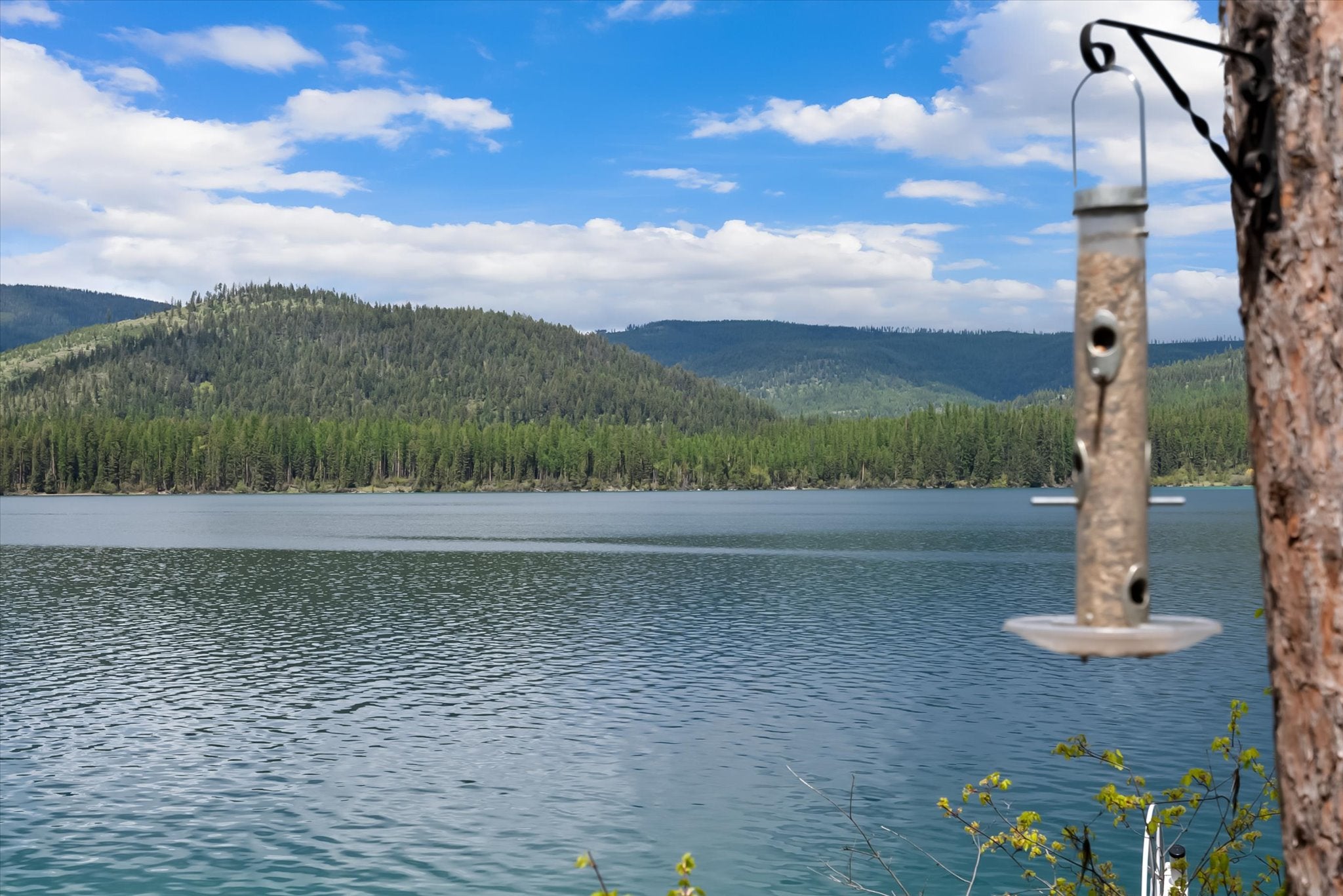 4247 South Ashley Lake Road Kalispell, MT 59901 - Photo 15 of 50 Gallery Image 15