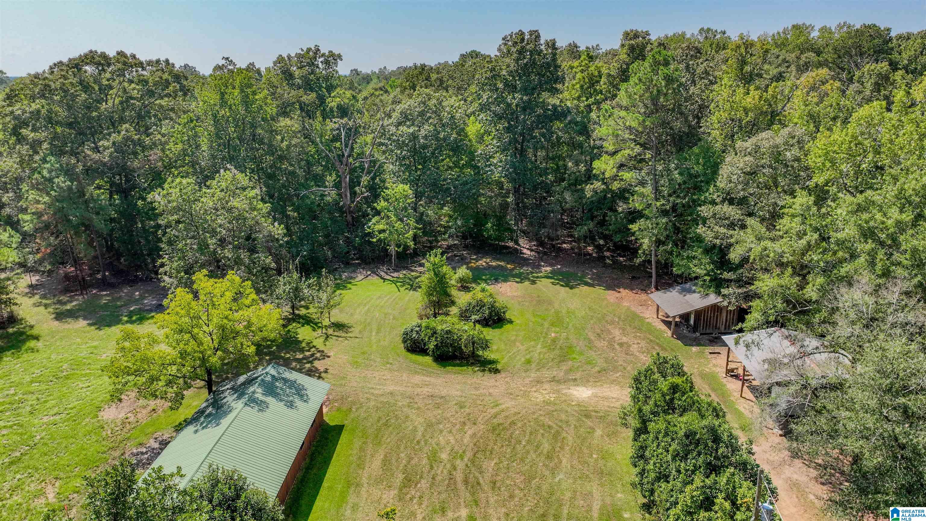 1095 Forkland Park Road Forkland, AL 36740 - Photo 34 of 45