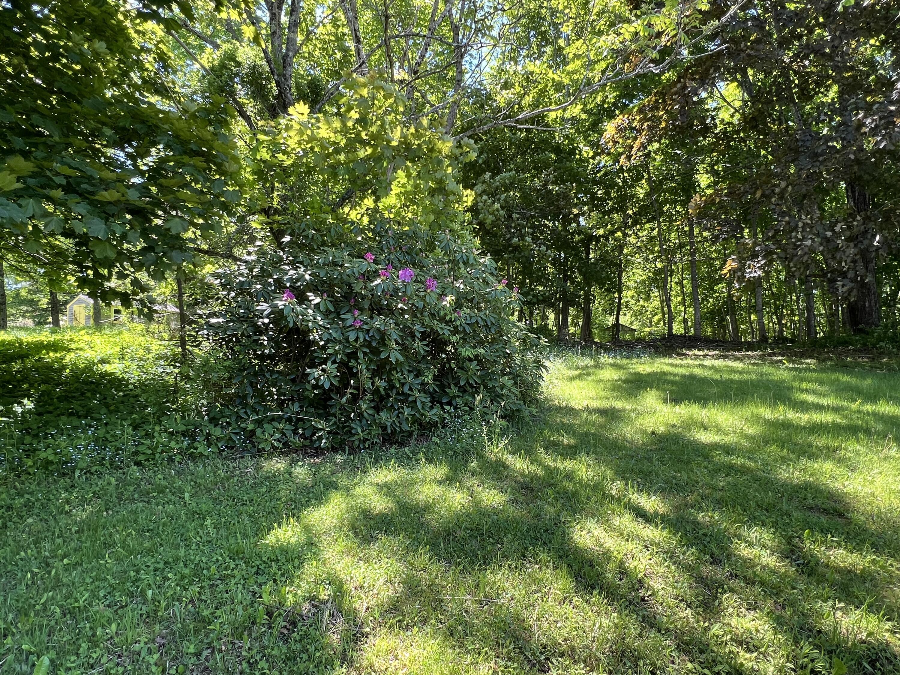 25 Old County Road Orland, ME 04472 - Photo 18 of 19 IMG_5939