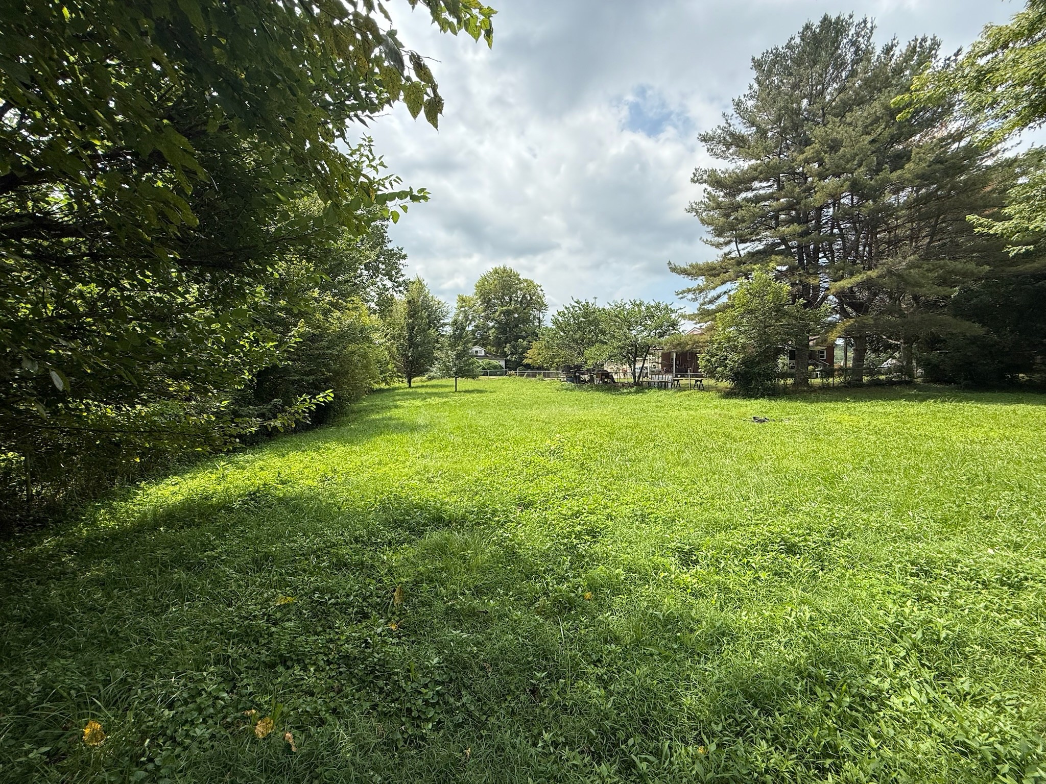 63 West Greendale Street Corbin, KY 40701 - Photo 21 of 24 a view of a big yard with plants and large trees