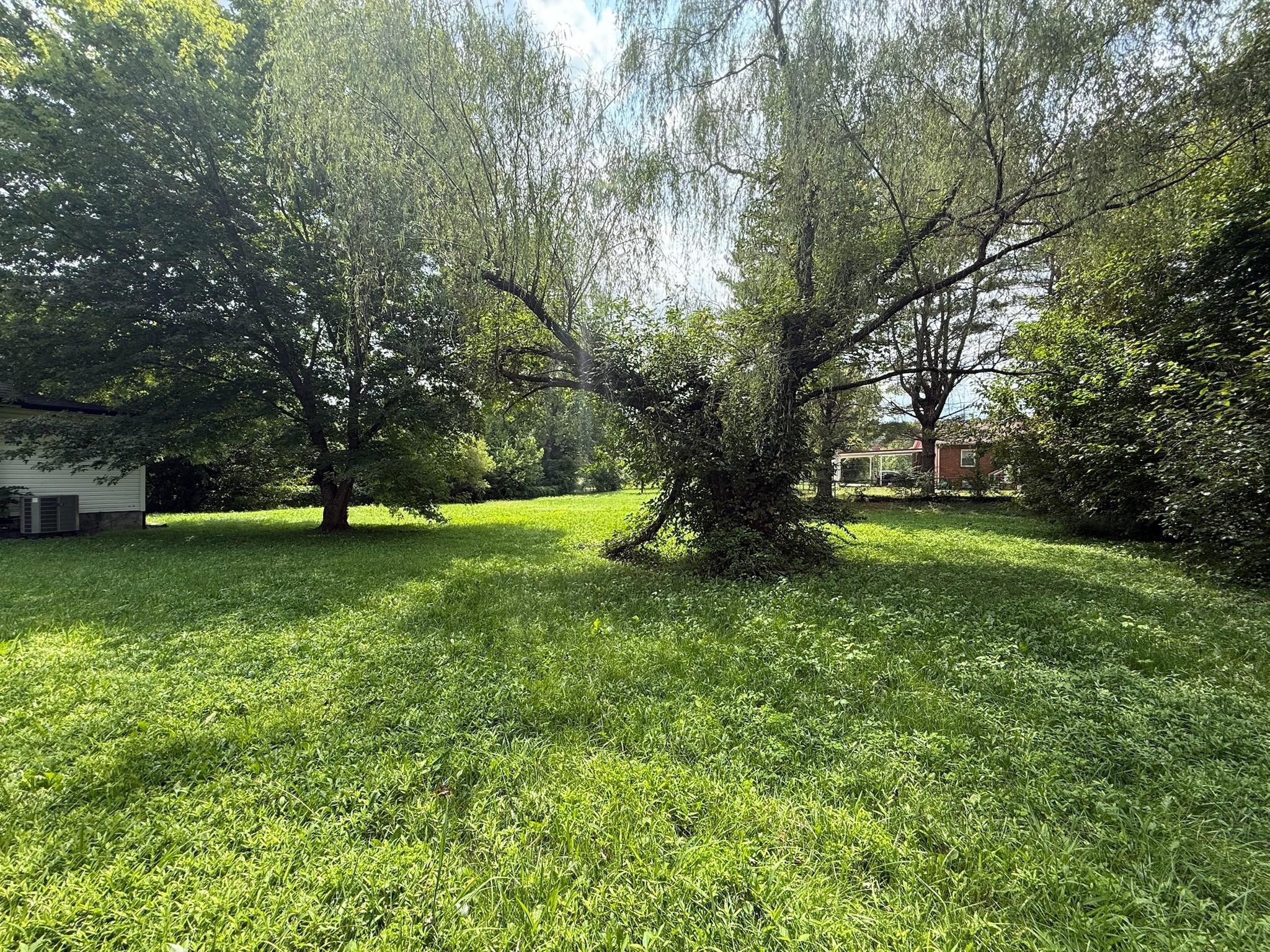 63 West Greendale Street Corbin, KY 40701 - Photo 22 of 24 a view of park with trees