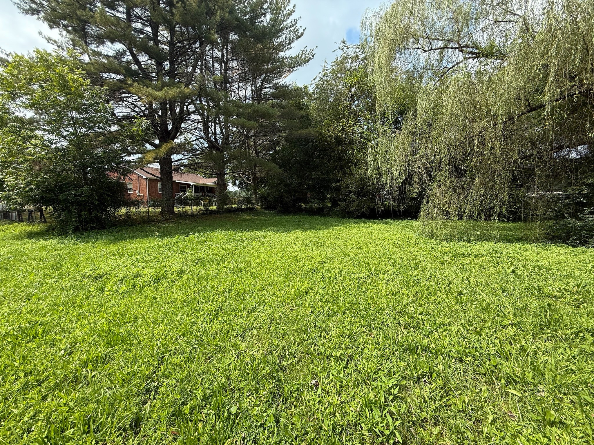 63 West Greendale Street Corbin, KY 40701 - Photo 23 of 24 a view of a green yard