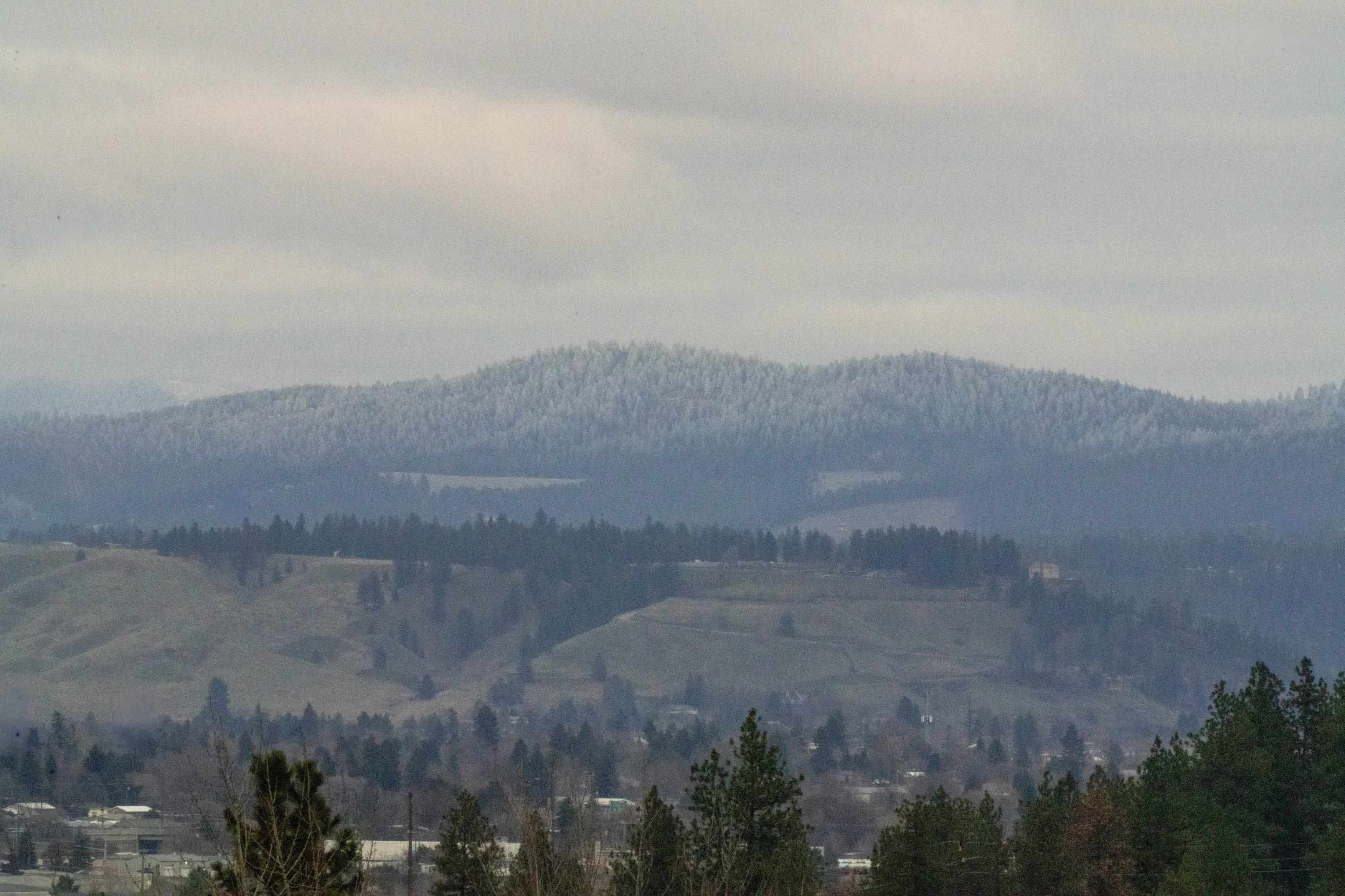 1615 South Lloyd Street Spokane, WA 99212 - Photo 50 of 50