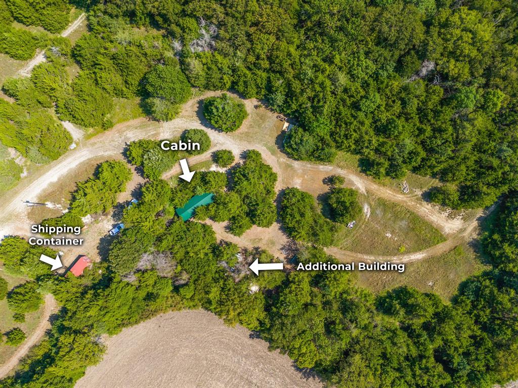 1578 Campground Road Sherman, TX 75090 - Photo 17 of 18 a view of a plant in a garden