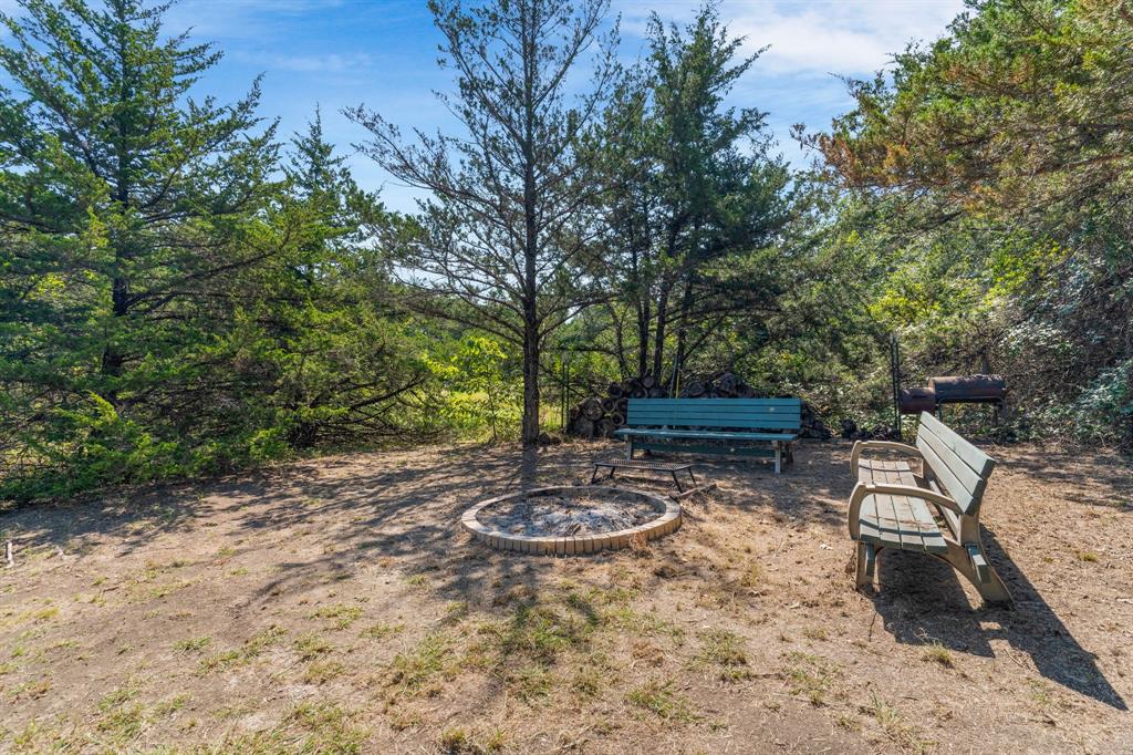 1578 Campground Road Sherman, TX 75090 - Photo 8 of 18 a view of a backyard with plants and trees
