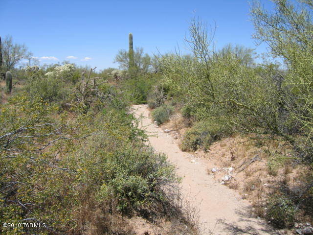 0 Unassigned Marana, AZ 85658 - Photo 4 of 17
