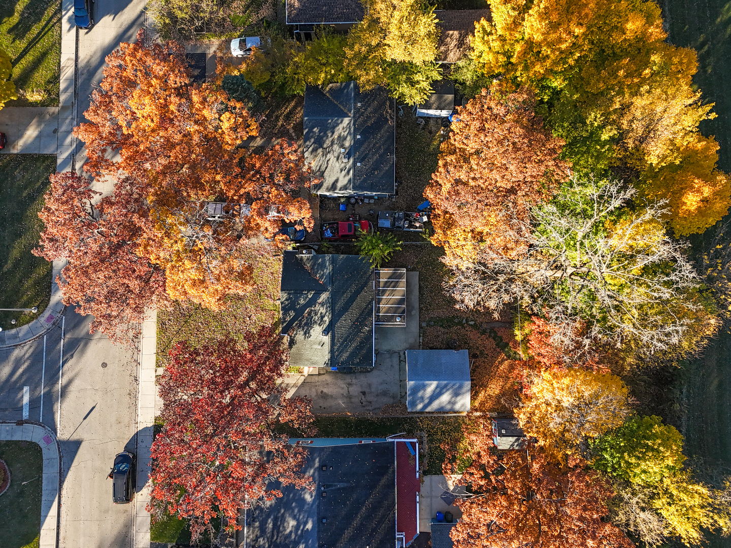 94 Wren Road Carpentersville, IL 60110 - Photo 18 of 21 a picture of tree
