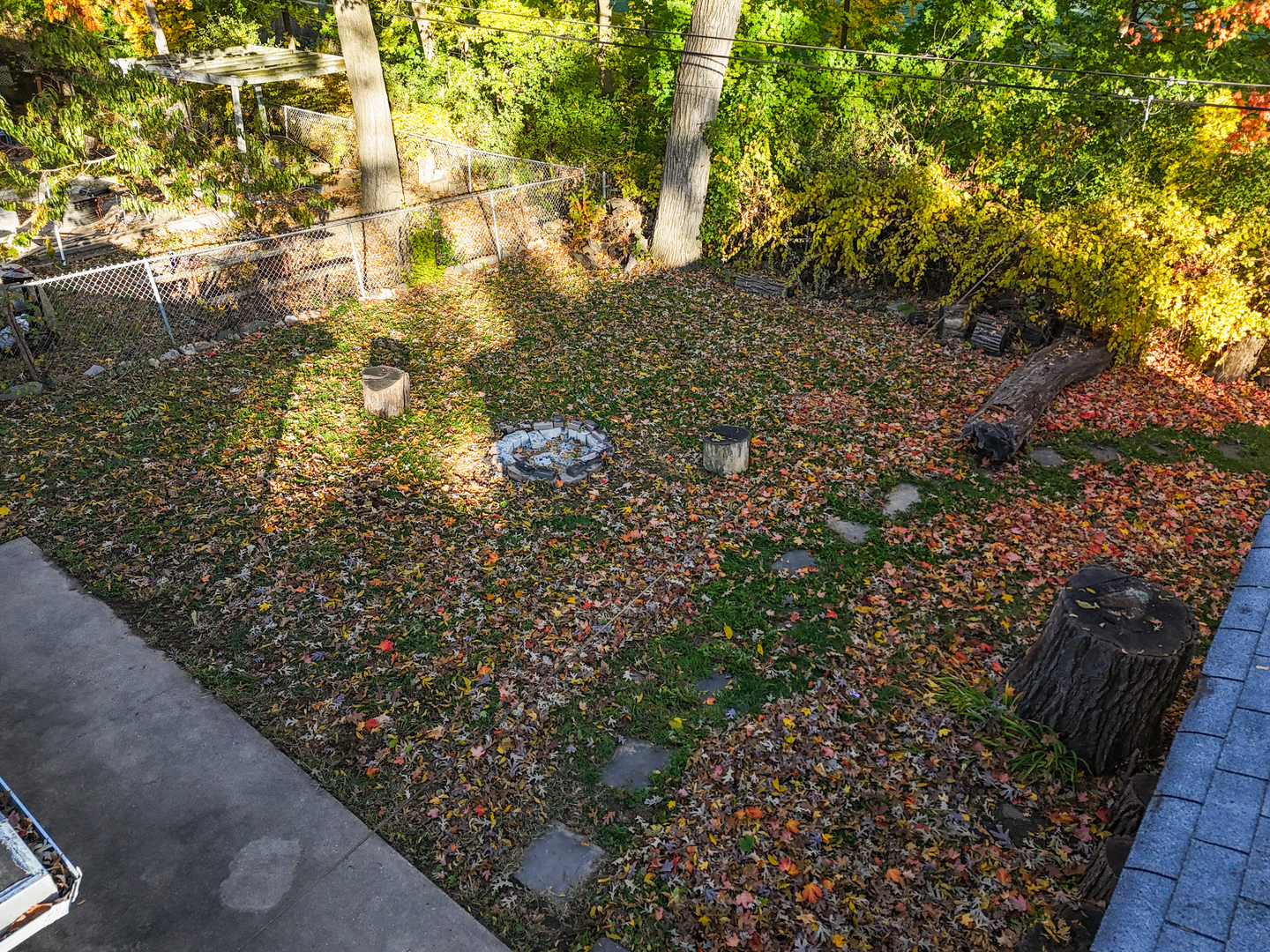 94 Wren Road Carpentersville, IL 60110 - Photo 21 of 21 a view of a yard with plants and large trees