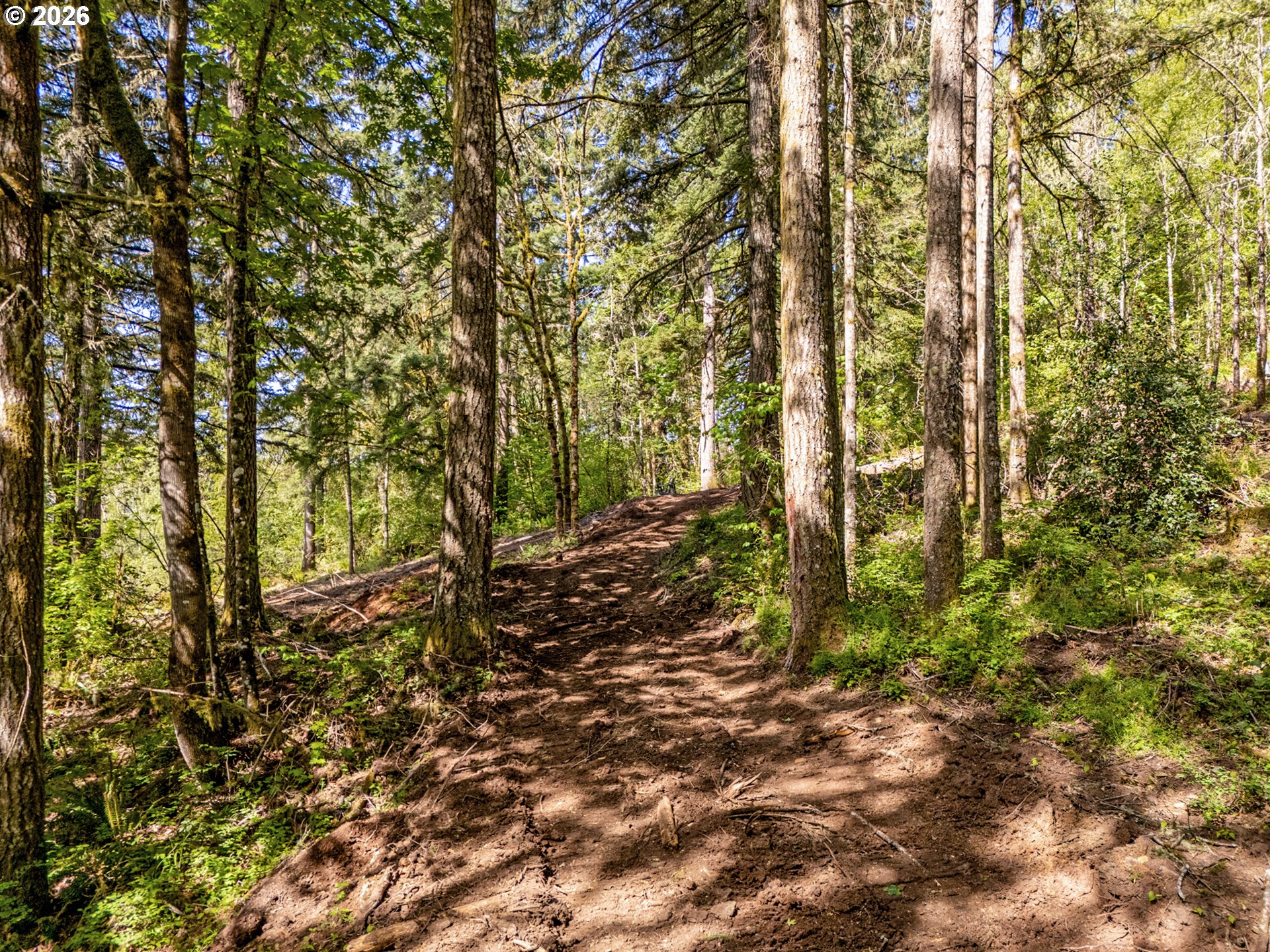 141 Old Spreadborough Road Kalama, WA 98625 - Photo 11 of 17