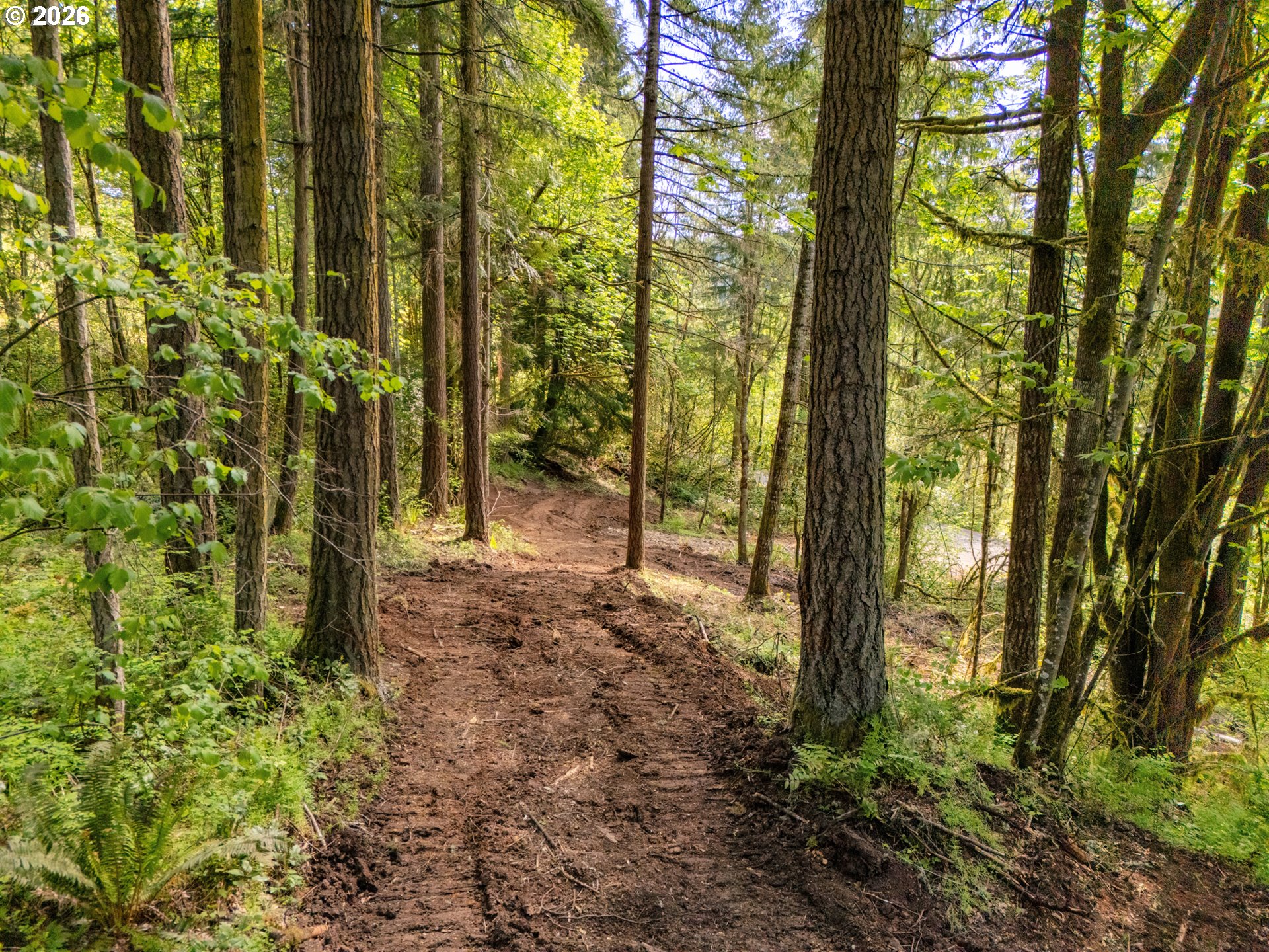 141 Old Spreadborough Road Kalama, WA 98625 - Photo 12 of 17