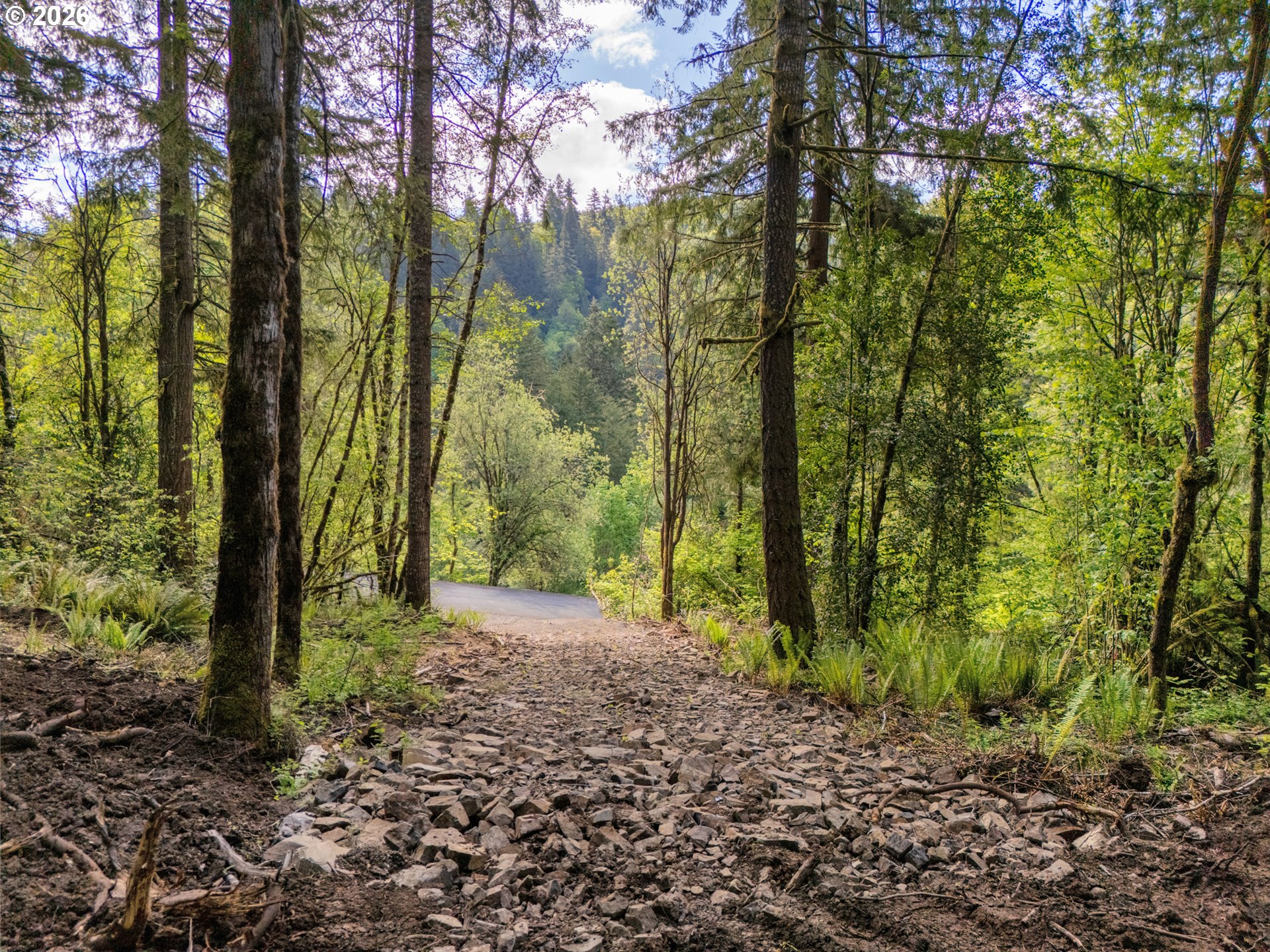 141 Old Spreadborough Road Kalama, WA 98625 - Photo 15 of 17