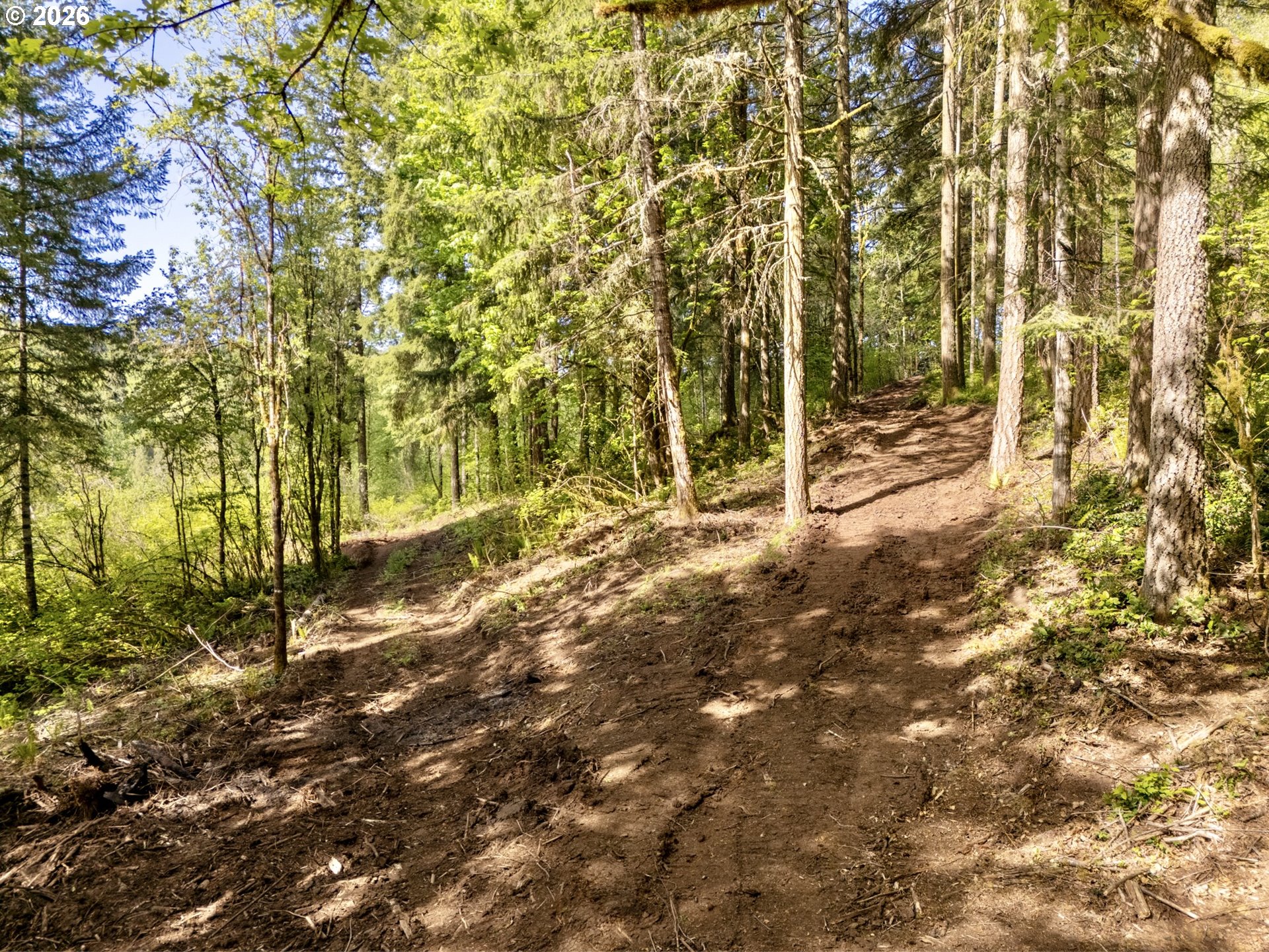 141 Old Spreadborough Road Kalama, WA 98625 - Photo 6 of 17