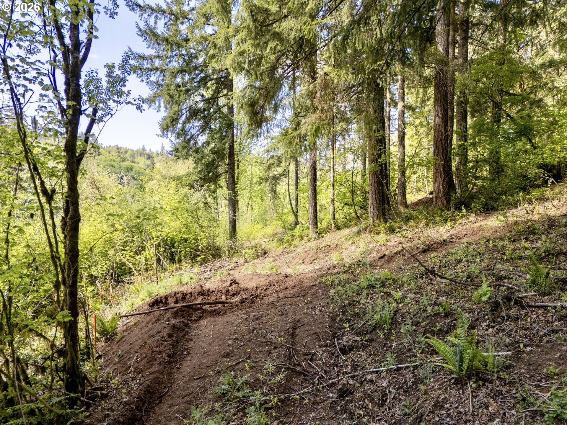 141 Old Spreadborough Road Kalama, WA 98625 - Photo 7 of 17