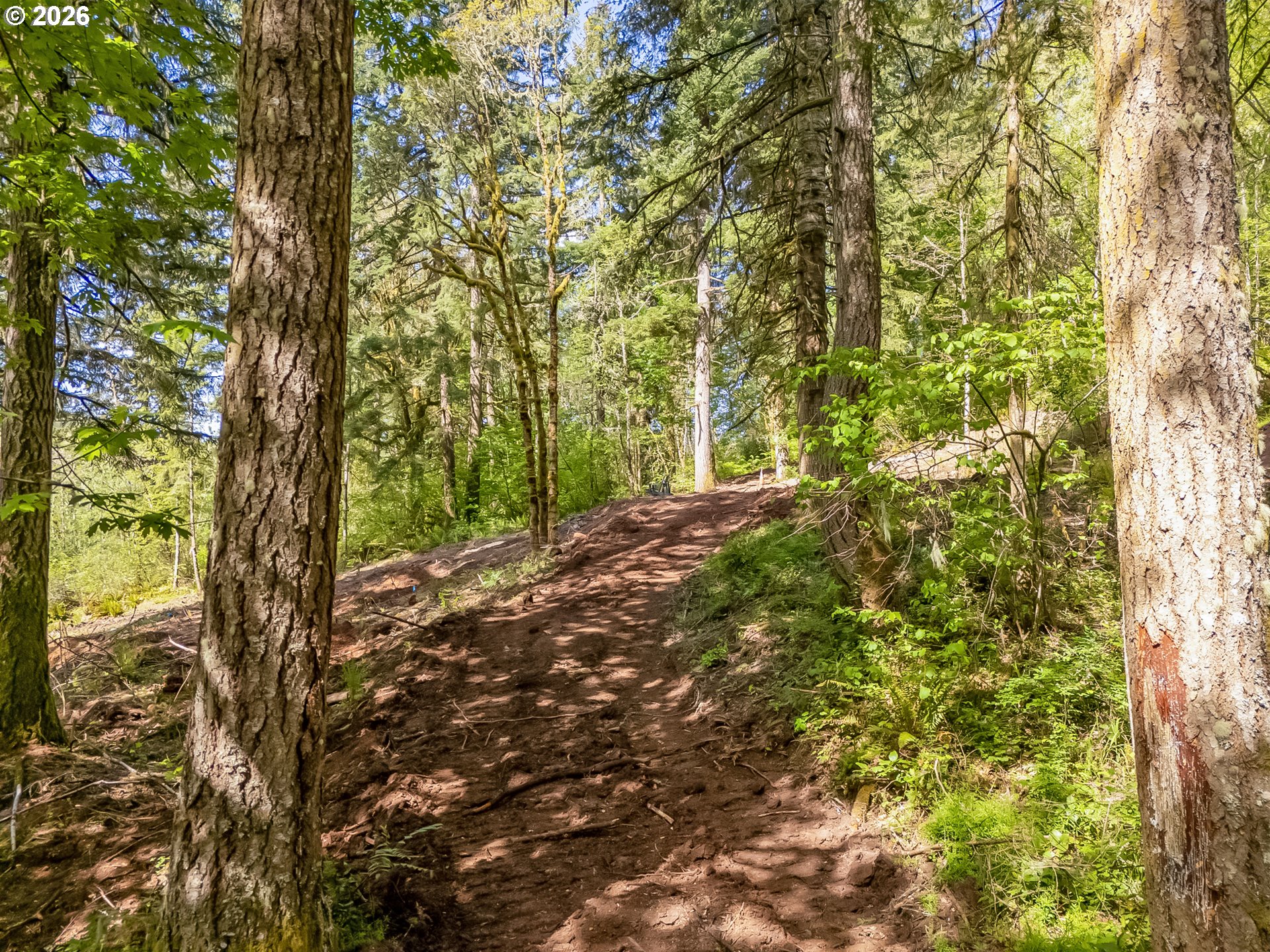 141 Old Spreadborough Road Kalama, WA 98625 - Photo 8 of 17