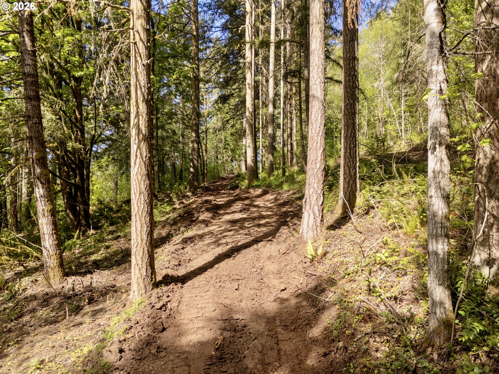 141 Old Spreadborough Road Kalama, WA 98625 - Photo 9 of 17