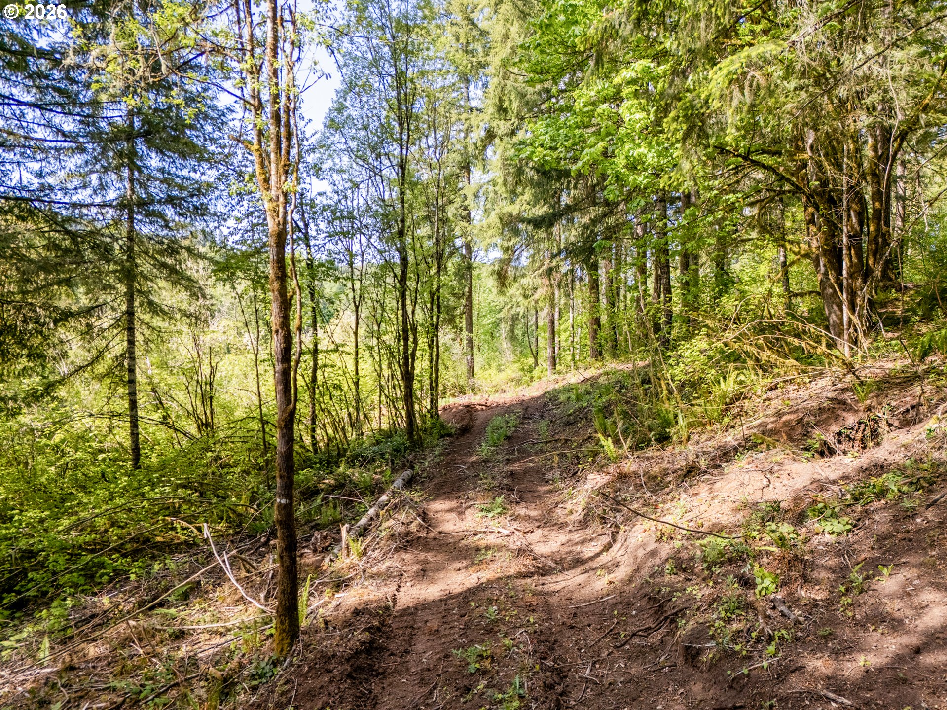 141 Old Spreadborough Road Kalama, WA 98625 - Photo 10 of 17