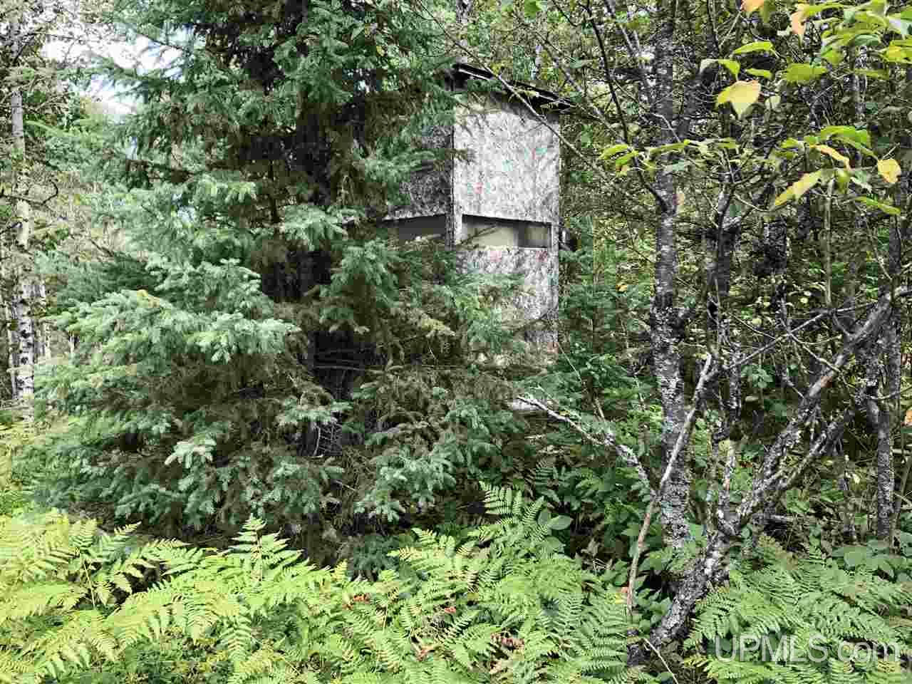 Tbd Perlot Road Felch, MI 49831 - Photo 14 of 45