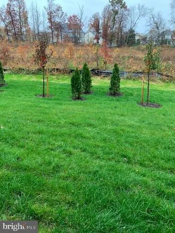 a view of lake with green field