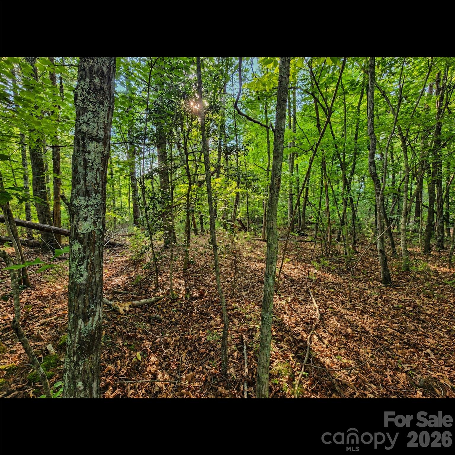 547 James View Road Marion, NC 28752 - Photo 8 of 9