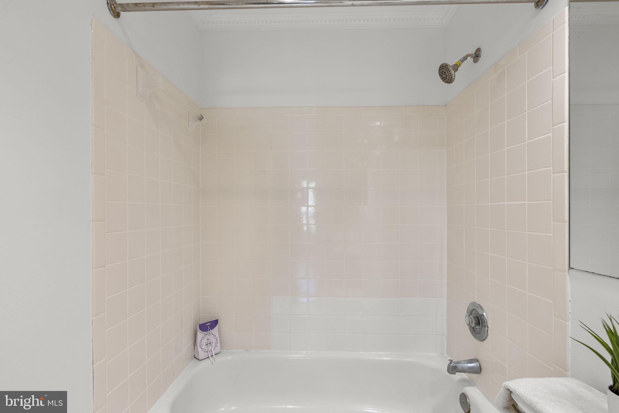 13708 Modrad Way, Unit 7B33 Silver Spring, MD 20904 - Photo 17 of 28 Maim Bathroom