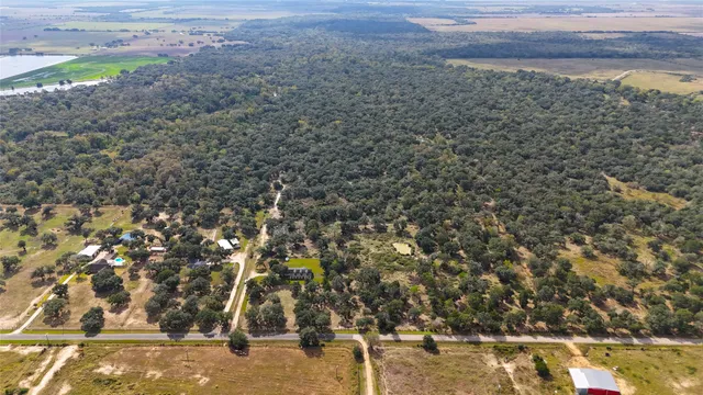 an aerial view of forest