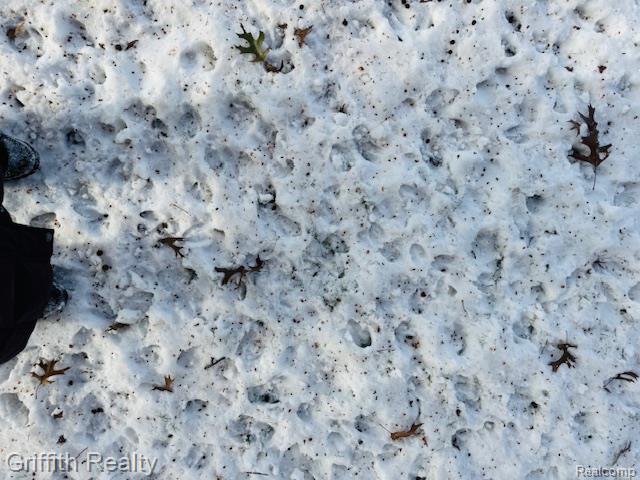 5748 West Coon Lake Road Howell, MI 48843 - Photo 74 of 74