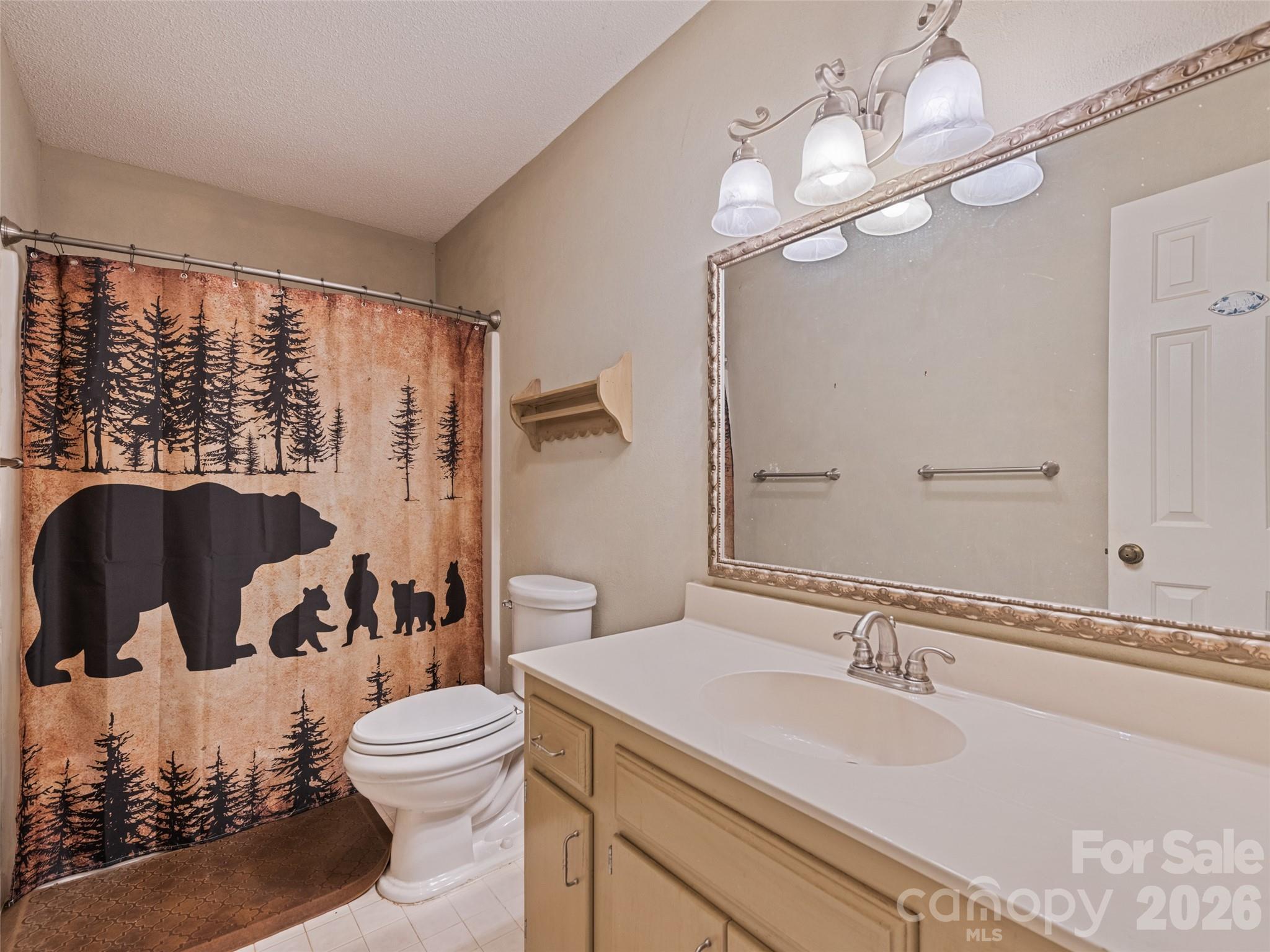 1392 Mt Chalet Road Canton, NC 28716 - Photo 23 of 34