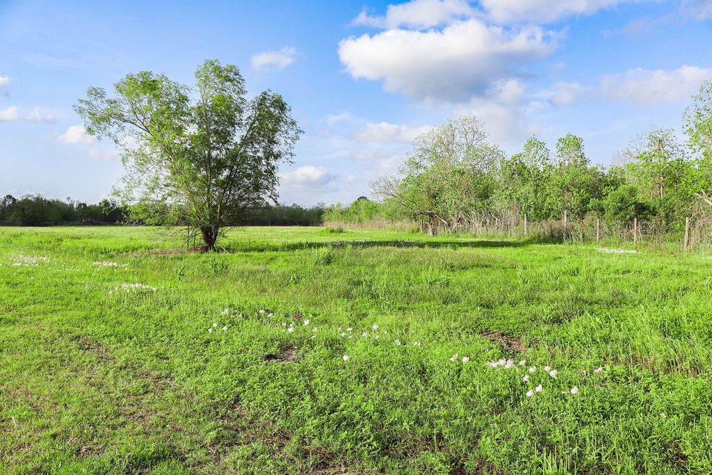 1115 Farm To Market 1462 Rosharon, TX 77583 - Photo 15 of 20
