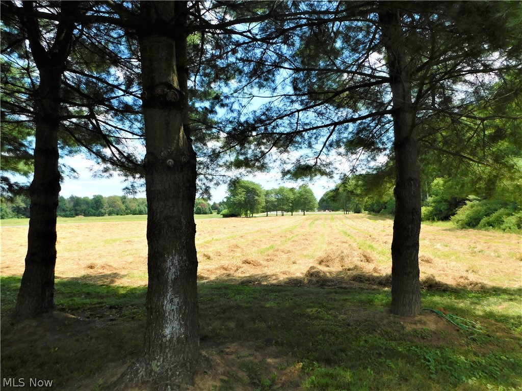 6845 Beach Road Medina, OH 44256 - Photo 25 of 27 Gallery Image 25