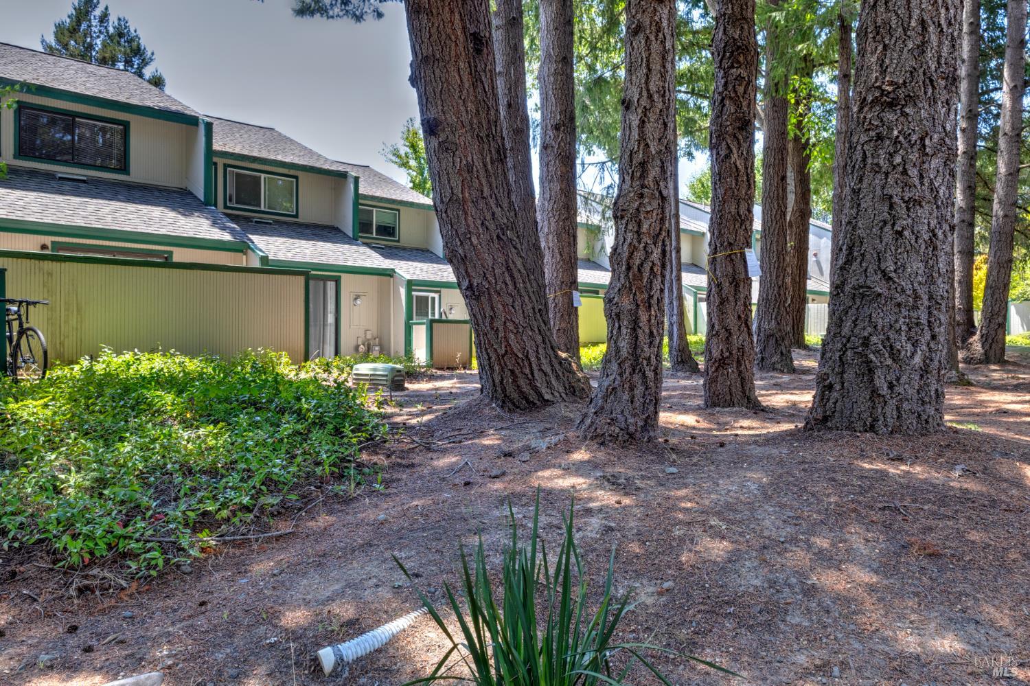 539 Norlee Street Sebastopol, CA 95472 - Photo 20 of 26 Private common area in back of unit