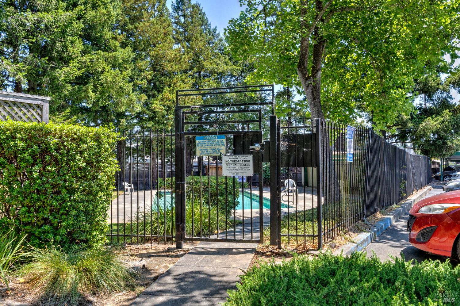 539 Norlee Street Sebastopol, CA 95472 - Photo 21 of 26 Serene pool area with ample shade lined with mature trees and secured fencing with locked gate.