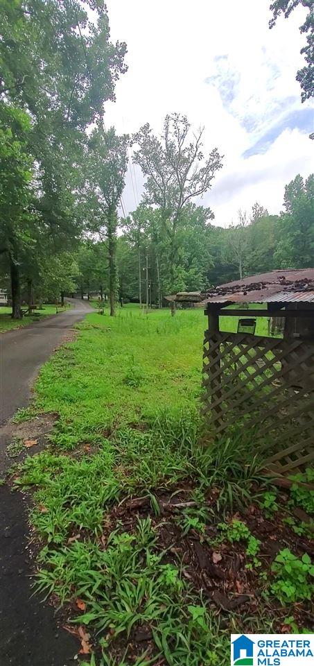 328 Bill Gross Camp Road Bessemer, AL 35023 - Photo 5 of 16