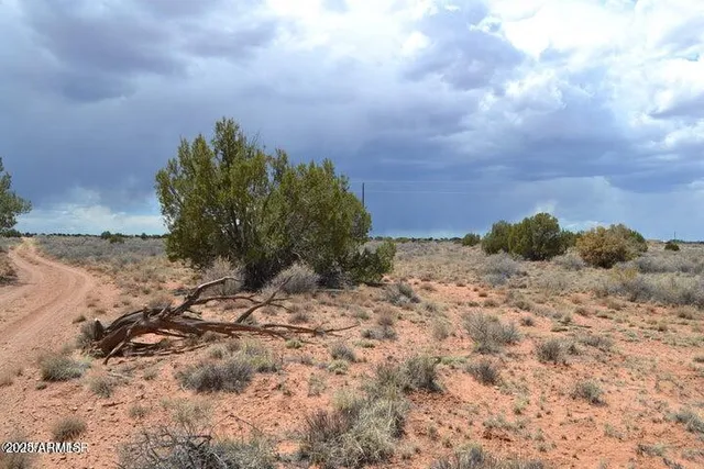 a view of a covered with trees in the background