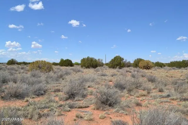 a view of a dry yard with lots of bushes