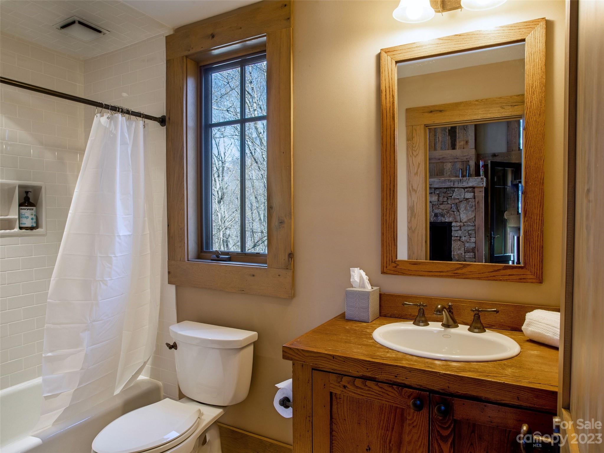 100 Boar Ridge Road Sylva, NC 28779 - Photo 43 of 48 a bathroom with a toilet sink and mirror
