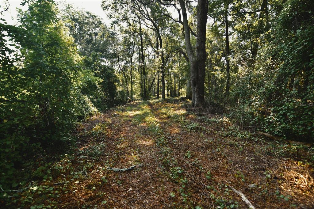 0 Hall Lake Road Keystone Heights, FL 32656 - Photo 28 of 39 Gallery Image 28