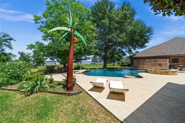 a view of a yard with plants