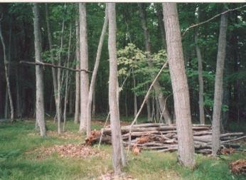 Mathisen Road Beulah, MI 49617 - Photo 4 of 6 Additional Photo