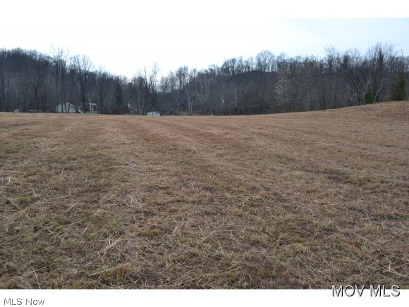 57 Bull Run Road Waverly, WV 26184 - Photo 9 of 15