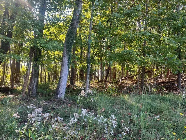 $49,900 | Tbd Golf Course Road, Pilot Mountain, NC 27041