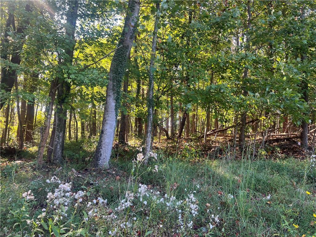 Tbd Golf Course Road Pilot Mountain, NC 27041 - Photo 13 of 15