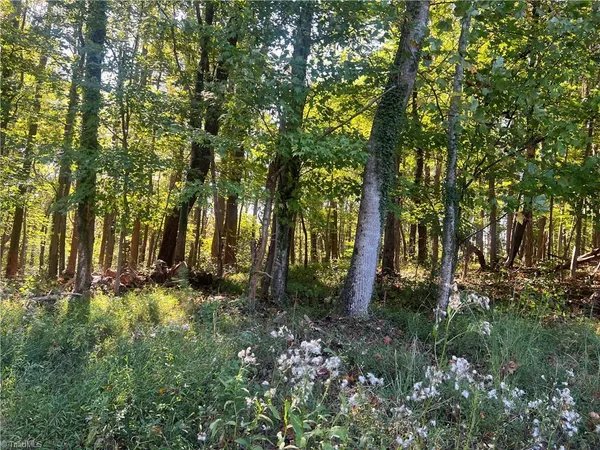 $48,500 | Tbd Golf Course Road, Pilot Mountain, NC 27041