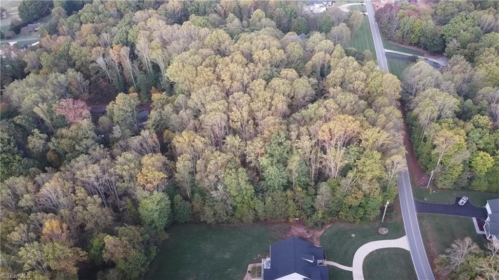 Tbd Golf Course Road Pilot Mountain, NC 27041 - Photo 9 of 15