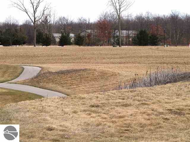 Lot 35 South Chippewa Road Mount Pleasant, MI 48858 - Photo 5 of 5 1744003-4.JPG
